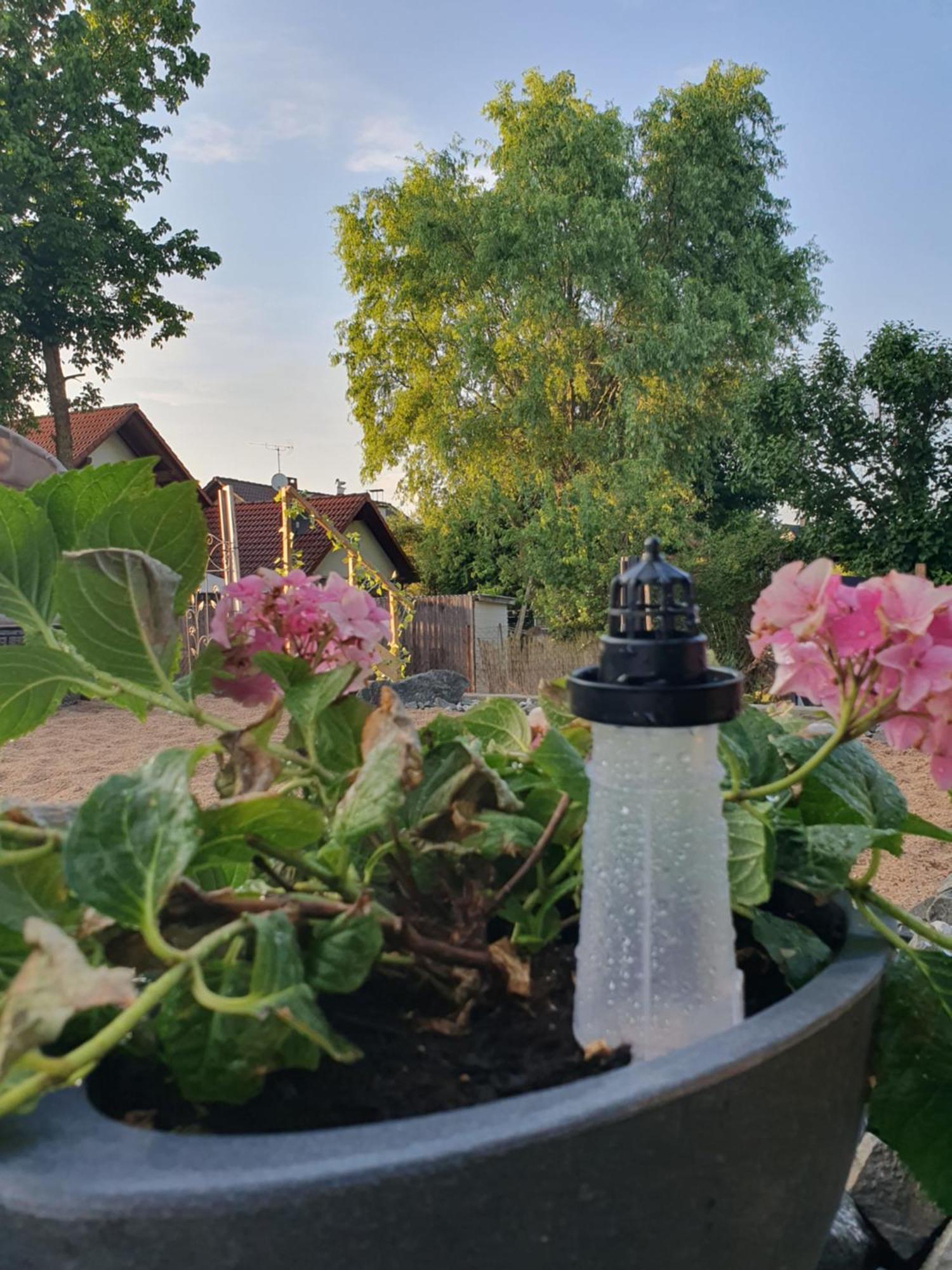 Apartament Casa Vogelsberg Schotten Zewnętrze zdjęcie