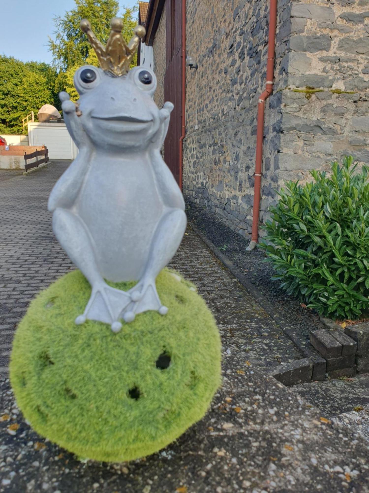Apartament Casa Vogelsberg Schotten Zewnętrze zdjęcie