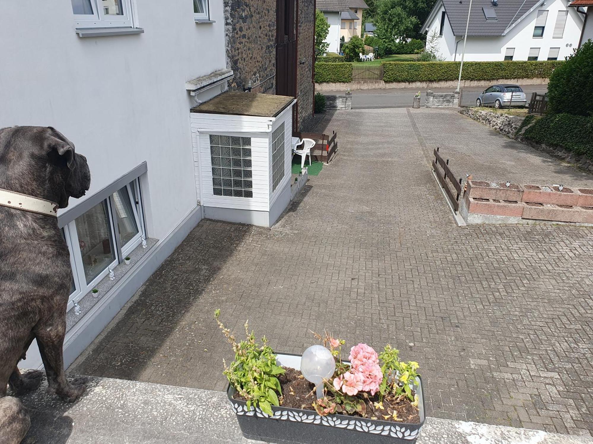 Apartament Casa Vogelsberg Schotten Zewnętrze zdjęcie